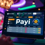 Secure online casino dashboard displaying deposit and withdrawal options via PayID